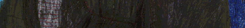 R.Fischer_216406.gif
