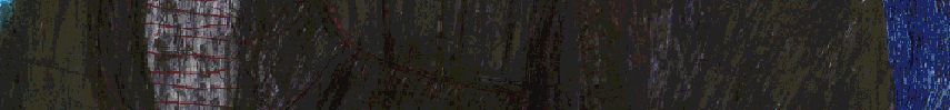 R.Fischer_216406.gif
