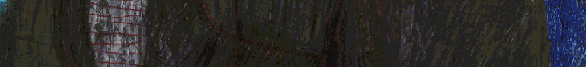 R.Fischer_216406.gif