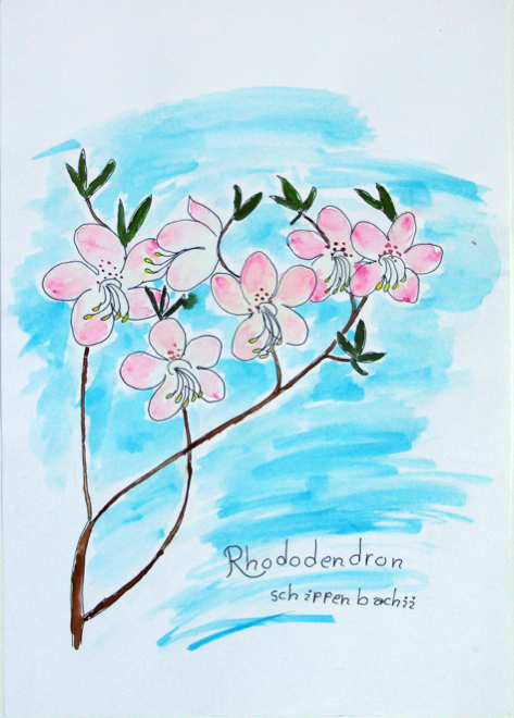 DSC02262_Riedmueller.jpg