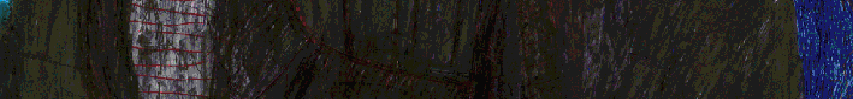 R.Fischer_216406.gif