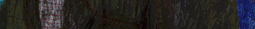 R.Fischer_216406.gif