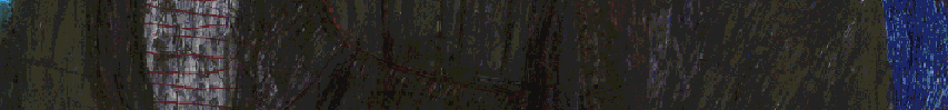 R.Fischer_216406.gif